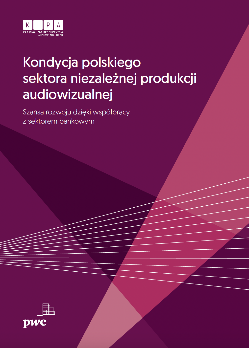 Kondycja polskiego sektora niezależnej produkcji audiowizualnej