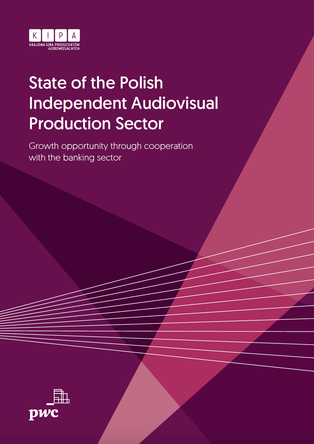 State of the Polish Independent Audiovisual Production Sector